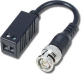 ghyql8fmb0t5olotis982us5mp59xc4g